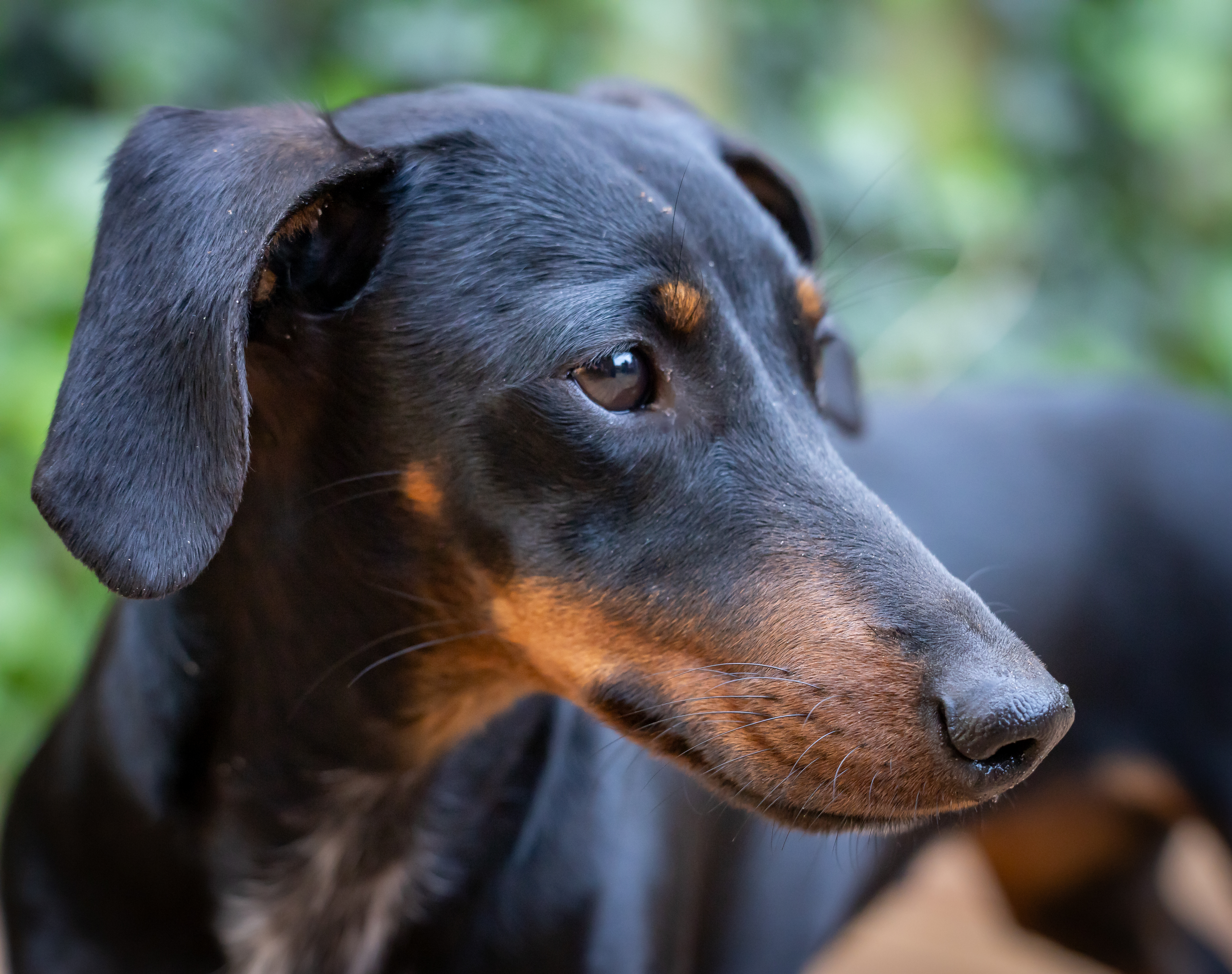 Leg je volgende herinnering vast